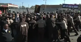 যুক্তরাষ্ট্রে অভিবাসনবিরোধী অভিযানে গ্রেপ্তার অন্তত ৮১